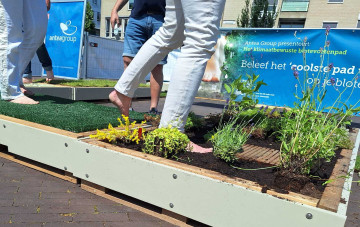 Doetinchem voelt het verschil: Blotevoetenpad laat inwoners klimaatverandering letterlijk ervaren