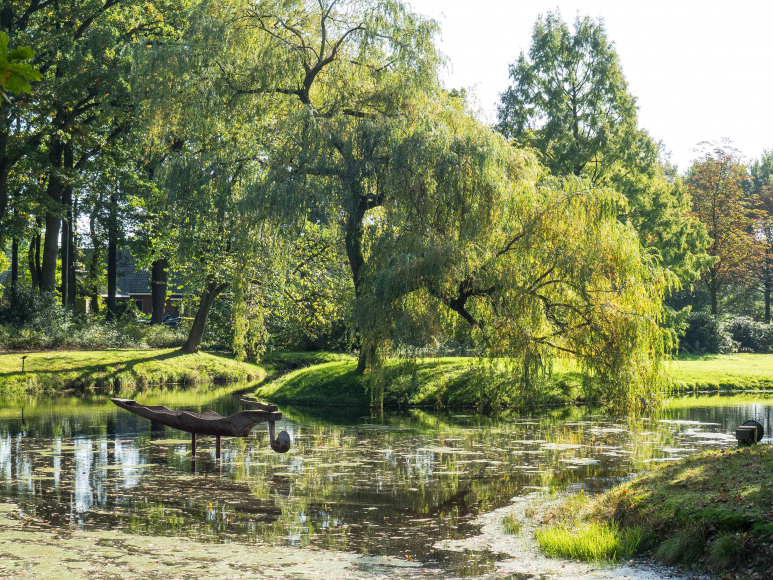 Meer stikstof in Oost-Nederlandse natuur volgens vernieuwde rekenmethode: ‘Ronduit bizar’