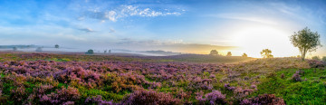 Ecologie en biodiversiteit: werken mét de natuur