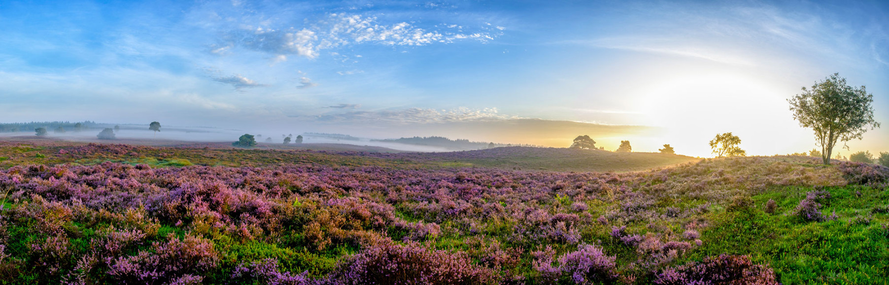 Ecologie en biodiversiteit