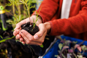 Antea Group en Stichting De Blije Bodem maken Groningen gezonder en mooier