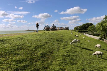 Natuurherstel