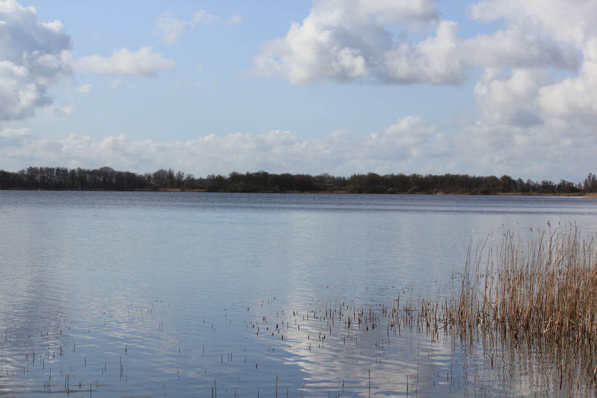 Verbetering van de waterkwaliteit in het Nannewiid 