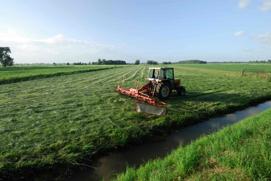 Natuurinclusieve landbouw Provincie Noord-Brabant
