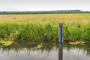 Smart Groundwater Sensing