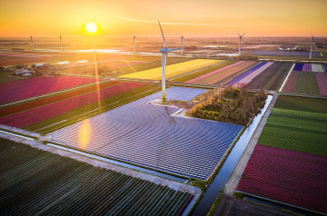 Slimmer werken, sneller vooruit: jouw gids in de energietransitie