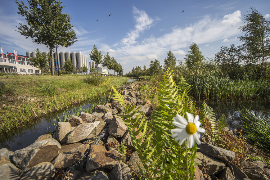 Bodem als basis - water en bodem sturend