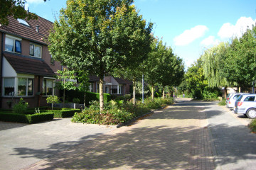beheer leefomgeving