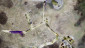 image-alt