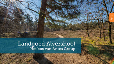 Onderzoek in Landgoed Alvershool