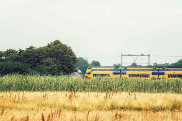 Gezonde leefomgeving in beeld