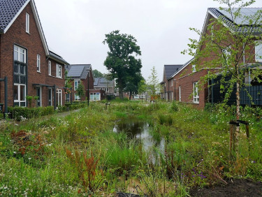 Natuurinclusief bouwen
