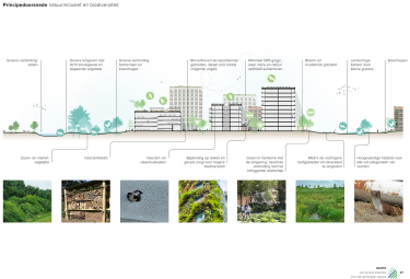 Natuurinclusief ontwerpen
