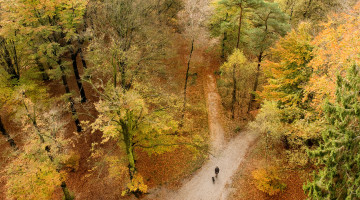 natuurherstel