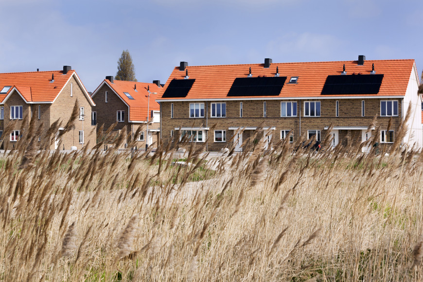 Lokale maatregelen als uitweg uit de stikstofcrisis