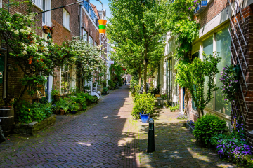 Van vakbeheerder naar adviseurs van de fysieke leefomgeving. 