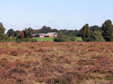 Natuurinclusief