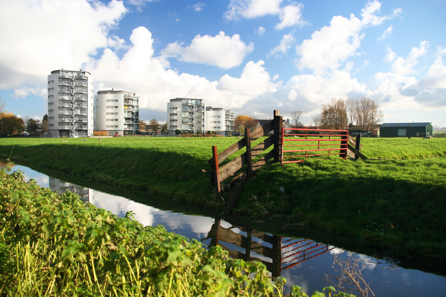 Natuurontwikkeling en kwaliteit