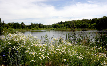 Biodiversiteit