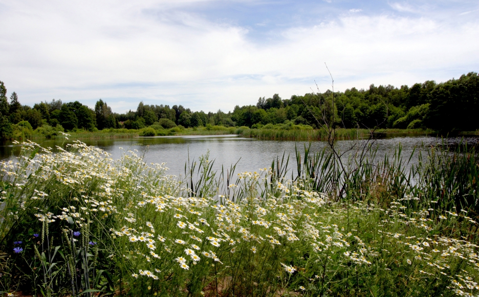 Ecologie en biodiversiteit