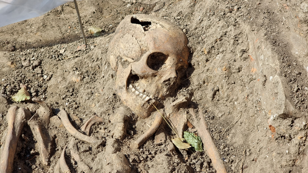 Meerdere skeletten opgegraven in Holwierde: 'Een archeoloog wordt hier altijd blij van'