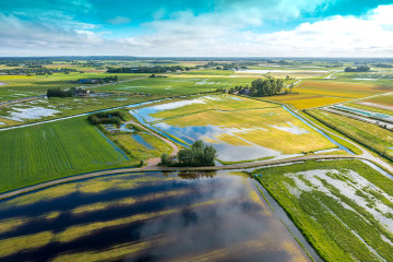 Klimaatbestendig en waterrobuust Nederland