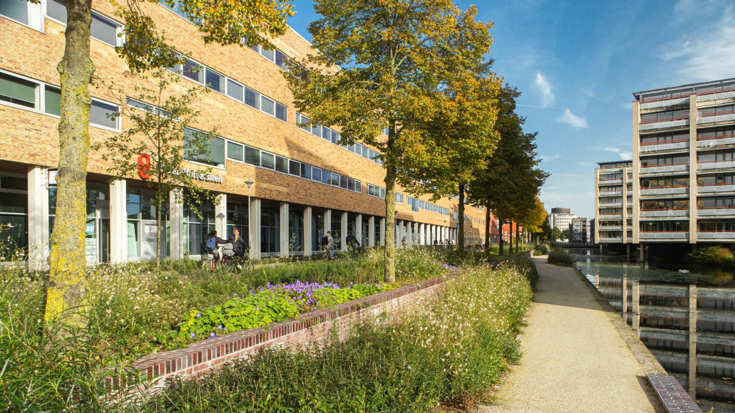 Gebiedsinrichting