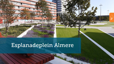 De Esplanade laat Almere van z’n allermooiste kant zien