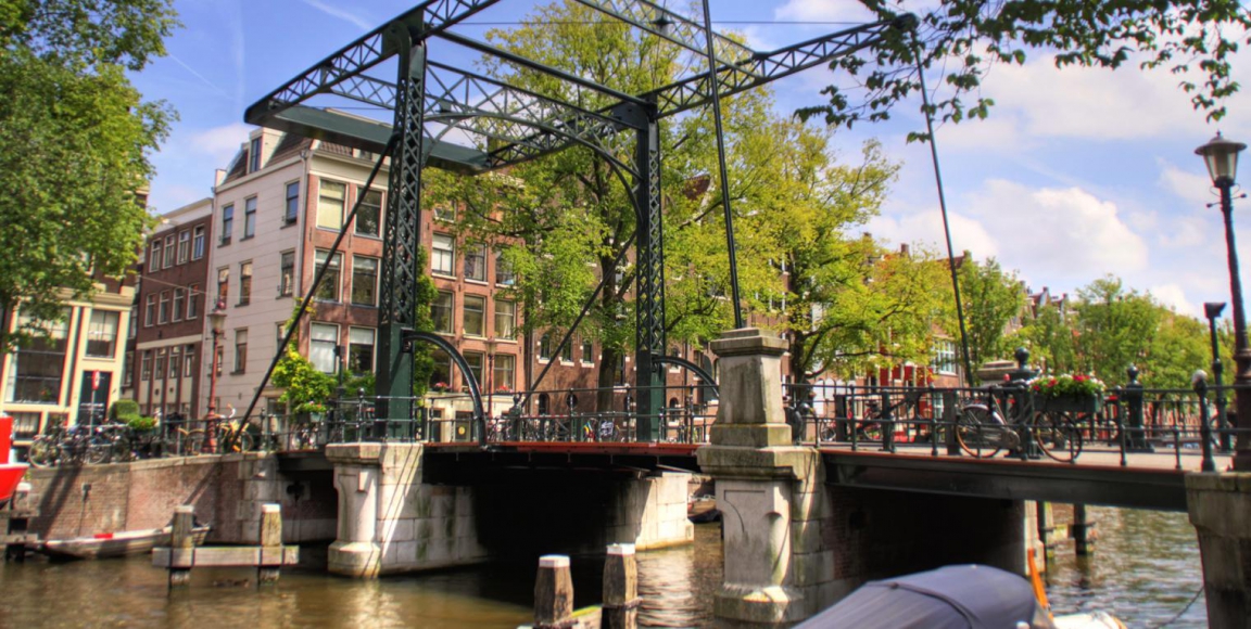 Snoeihout en maaisel grasvegetaties krijgen een nieuw leven in Amsterdam