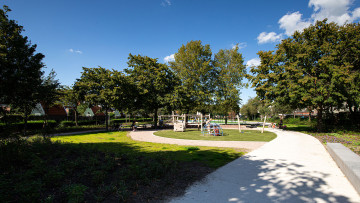 Metamorfose Azaleapark Zwolle