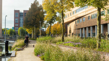 Een groene oase in de Spoorzone