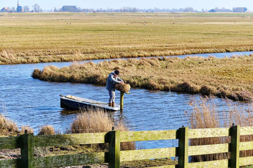 Polder Himpensermar: waterberging met een verhaal