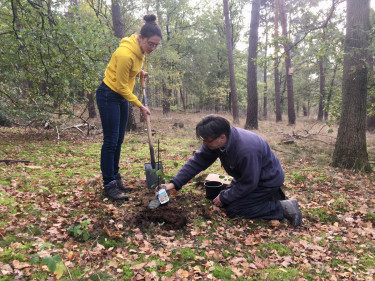 Ecologisch beleid en beheer