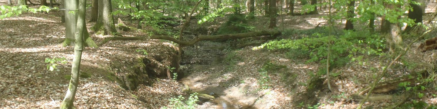 Strijd tegen droogte in natuurgebieden Oldenzaal