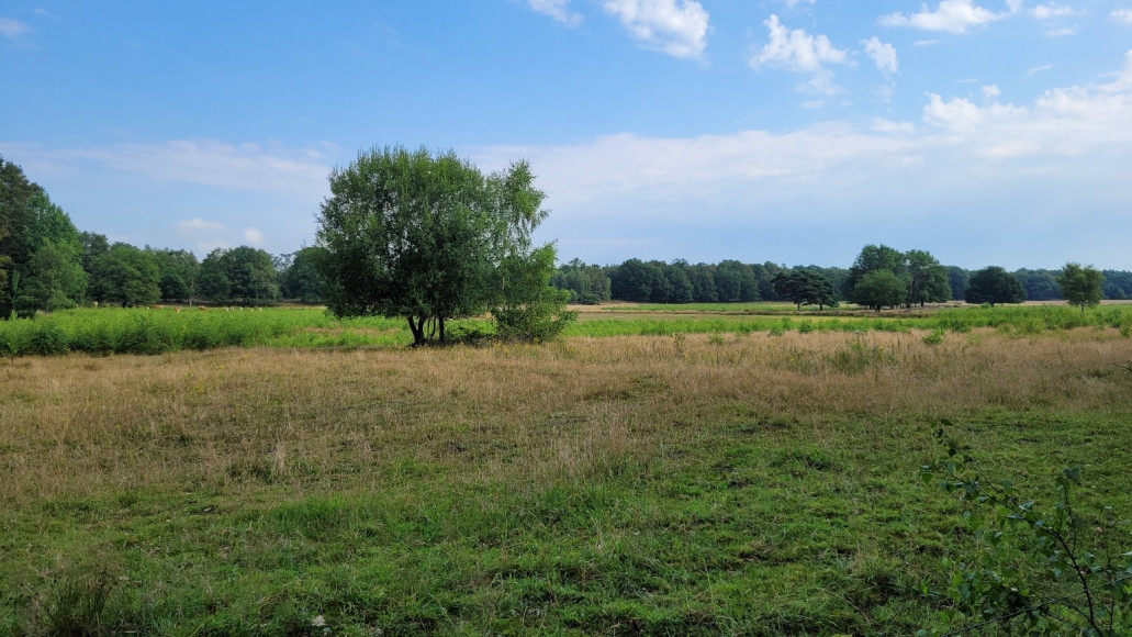 Strategische samenwerkingspartner Staatsbosbeheer bij uitrol pilot Natuurbank