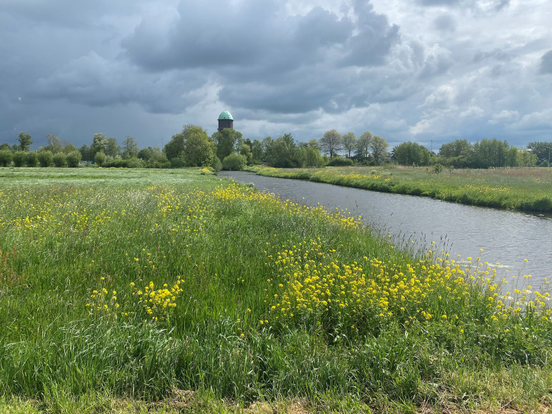 Antea Group helpt waterschap HHSK, waterbeheer verbeteren in Zuid-Holland