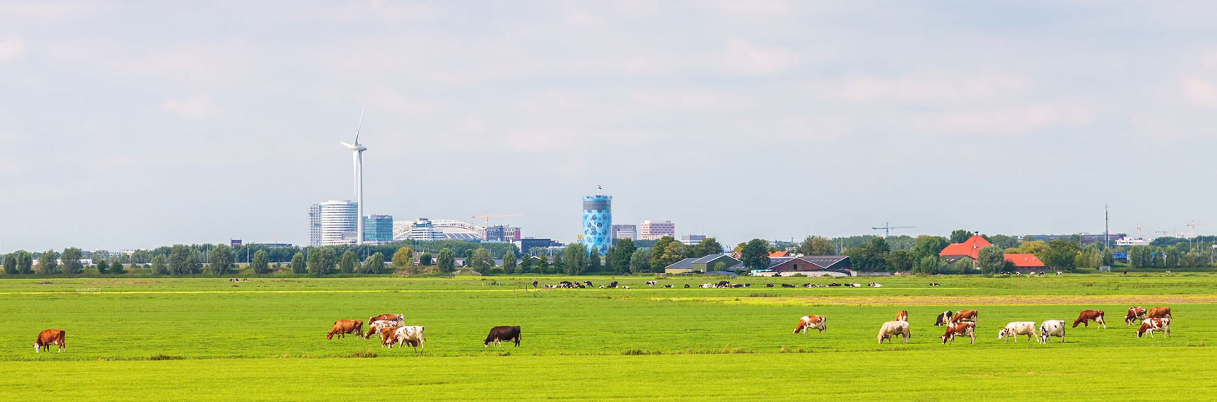 Download het artikel Samenwerken aan oplossingen voor netcongestie