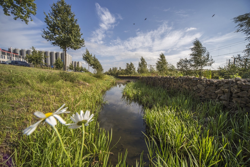 Klimaatadaptatie wateroverlast