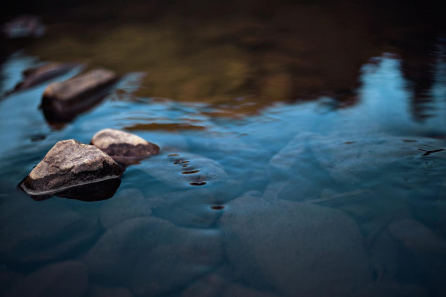 Water Stewardship for Food & Beverage Companies