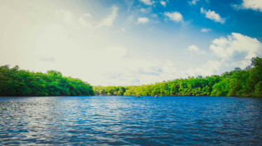 Client gets help with sustainability-related stakeholder engagement and technical management of water resources