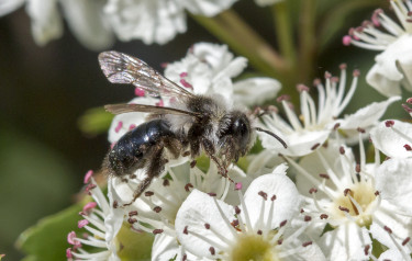 Duurzaamheid stimuleren dankzij het Duurzaamheidsfonds ‘Duurzaam Doen’ 