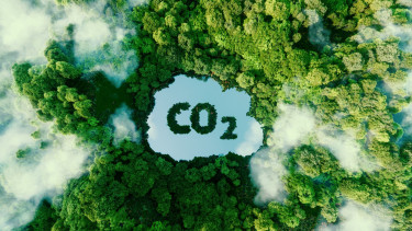 CO₂ compensatie en de projecten die we ondersteunen